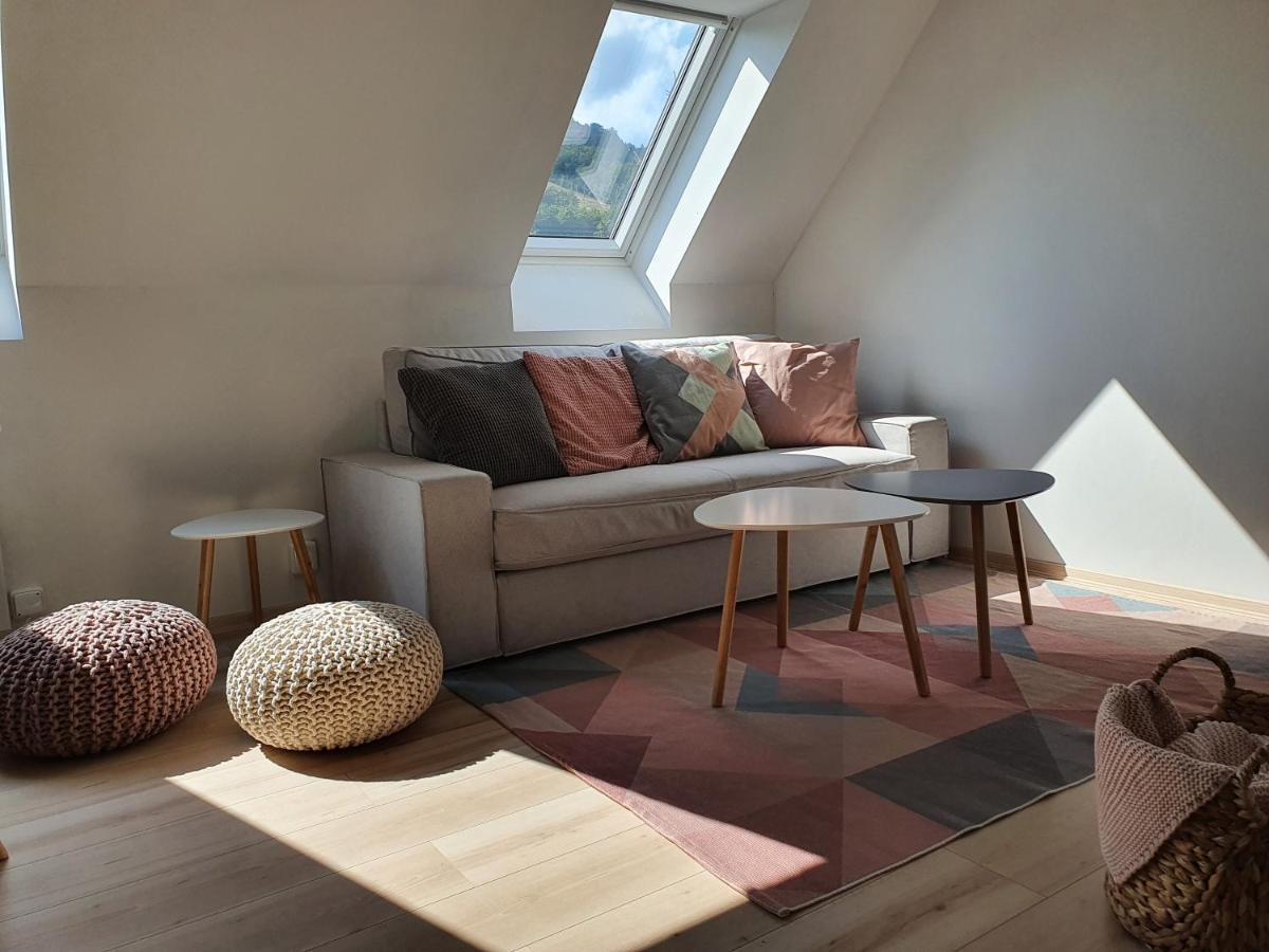 Apartmány Břachovna Mikulov v Krusnych Horach Exterior foto